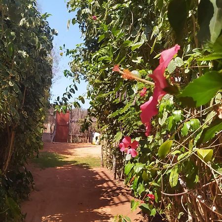 Casa Maloca Jijoca de Jericoacoara Exterior foto